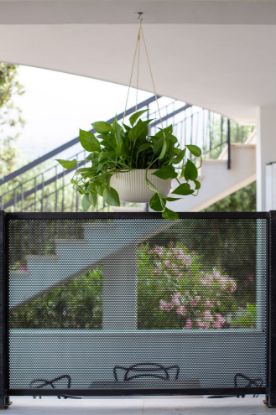 Picture of Ping Pong Apartment